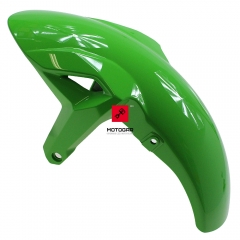 Błotnik Kawasaki Ninja 650 przód zielony [OEM: 350040358777]