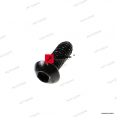 Śruba osłony łańcucha M6X16 Ducati DIAVEL, MONSTER, MULTISTRADA, SUPERBIKE/PANIGALE [OEM: 77550213C]