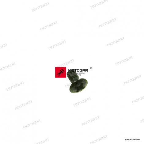 Wkręt, śruba 3x6 Honda CG125, CB250, CB400, CX500, CB650, CBX1000, GL1000 Gold Wing [OEM: 93700030060G]