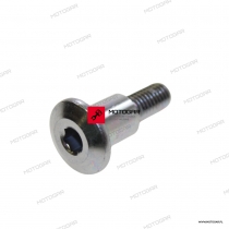 Śruba dźwigni zmiany biegów 8X167 Kawasaki NINJA H2, NINJA 650, Z800, Z900, NINJA ZX-10R, Z1000, KLZ1000 [OEM: 921530446]