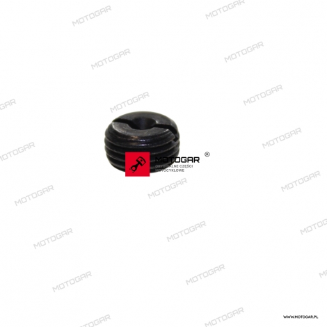 Zaślepka prowadnicy przedniego zacisku hamulcowego Kawasaki Ninja ZX-10R, KX450, KLX650, Z900, KLZ VERSYS 1000 [OEM: 921501692]