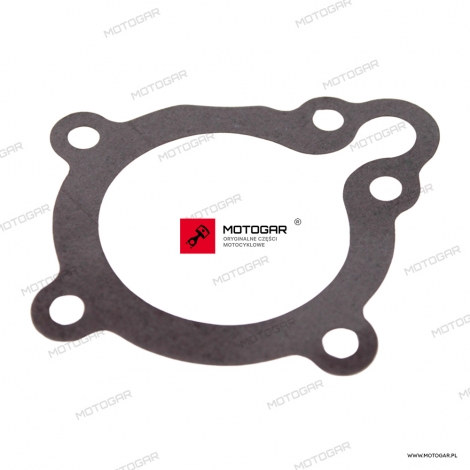 Uszczelka siatkowego filtra oleju Kawasaki EL250, GPX250 [OEM: 110091874]