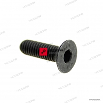 Śruba Aprilia Tuono, Shiver, Dorsoduro, Caponord, Piaggio BV/Beverly, X10 [OEM: 874037]