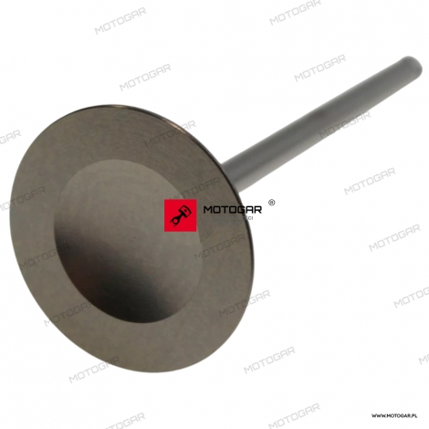 Zawór ssący Suzuki RM-Z250 [OEM: K120040002]