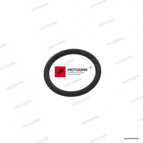 O Ring 20 x 262 Triumph Daytona, Trident, Tiger, Street Triple [OEM: T3600132]