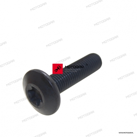 Śruba na wał 10X38 Kawasaki Ninja ZX-6R, Ninja ZX-10R [OEM: 921531521]