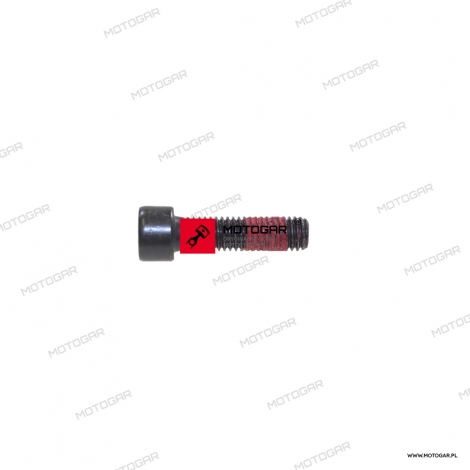 Śruba lewego lusterka Ducati Diavel, XDiavel, Monster 1200 [OEM: 77157273BA]