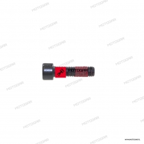 Śruba lewego lusterka Ducati Diavel, XDiavel, Monster 1200 [OEM: 77157273BA]
