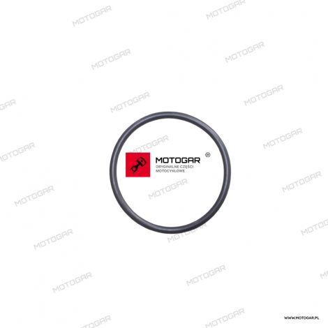 Oring rozrusznika 40mm Kawasaki ZR-7, GT750, GPZ750, Zephyr 750 [OEM: 920551669]