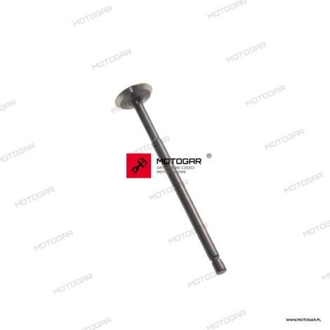 Zawór ssący Aprilia Zip, Liberty [OEM: 1A003878]