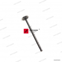 Zawór ssący Aprilia Zip, Liberty [OEM: 1A003878]