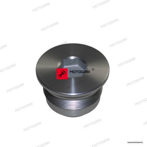 Śruba, korek amotyzatora lagi Harley-Davidson VRSCR, VRSCF, VRSCDX [OEM: 46350-06]