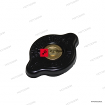 Nakrętka obudowy termostatu Triumph Daytona, Trophy, Thunderbird [OEM: T2100074]