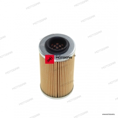 Filtr oleju Piaggio RSV1000 [OEM: AP0956745]