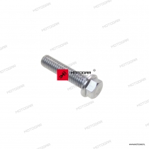 Śruba dekla, pokrywy alternatora Triumph America, Bonneville, Daytona, Tiger, Sprint, Street Twin, Rocket 3/III [OEM: T3205067]