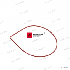Oring pompy wody Kawasaki Ninja ZX-7, ZXR750, Ninja ZX-9R [OEM: 920551495]