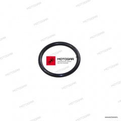 Oring złącza pompy wody Kawasaki ZZR600, GPZ750, Ninja ZX-10R, ZL1000 Eliminator, ZN1300 Voyager, VN1500 [OEM: 671B2525]