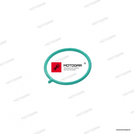 Oring dekielka alternatora Ducati Diavel, GT, Hypermotard, Monster, Multistrada, Sport, Superbike/Panigale [OEM: 88610951A]