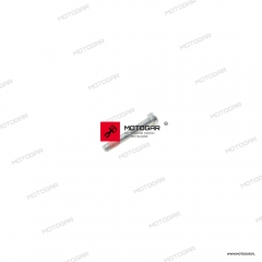 Śruba statora, stojana Ducati Diavel, XDiavel, Hypermotard, Monster 821, Monster 1200, Scrambler, Supersport [OEM: 77350738BC]