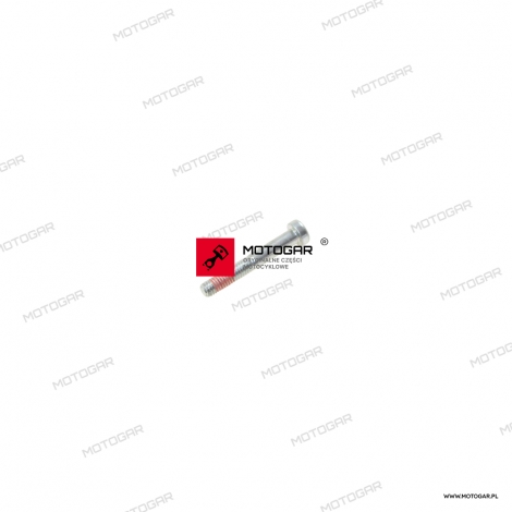 Śruba statora, stojana Ducati Diavel, XDiavel, Hypermotard, Monster 821, Monster 1200, Scrambler, Supersport [OEM: 77350738BC]