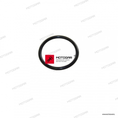 Oring napinacza łańcuszka rozrządu Kawasaki Eliminator 500, Ninja ZX-6R, EN650 Vulcan, ZX1000, KLZ1100 Versys [OEM: 92055086]