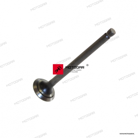 Zawór wydechowy Suzuki DF40, DF50, DF60 [OEM: 1291573G20]