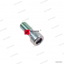 Śruba goleni 10X25 Kawasaki Ninja H2, Z900, Ninja ZX-10R, ZRX1200, ZXR1200, ZZR1400 [OEM: 921530548]