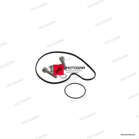 Zestaw naprawczy pompy wody Aprilia RSV1000, RSV4 1000, RSV4 1100, Tuono [OEM: 893968]
