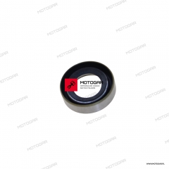 Uszczelniacz obudowy skrzyni biegów 10x17 Suzuki LTF230 [OEM: 0928210001]