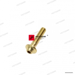 Śruba mocowania uchwytu lampy Ducati Superbike/Panigale [OEM: 77915441A]