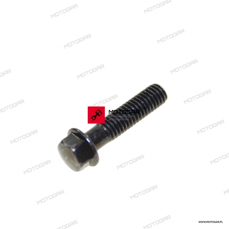 Śruba 6x25 Honda VT600 Shadow, XL700A Transalp, CB900F Hornet, ST1300 Pan European, GL1800 Gold Wing [OEM: 960010602507]