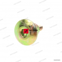 Śruba głowicy Aprilia SCARABEO, RS4, TUONO, RX/SX, Derbi SENDA, MULHACEN [OEM: AP3ATN000118]