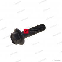 BOLT FLANGE 10MM Honda [OEM: 90023MV9670] *
