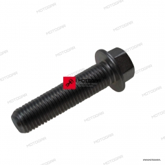 Śruba ramy Yamaha YZ80, TZR250, YZF-R6, XTZ750 Super Tenere, TRX850, TDM900, FZ-1 Fazer [OEM: 9502410040]