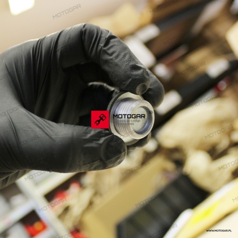 Korek rewizyjny Yamaha FZ1 FZ8 XJR 1300 YZF-R1 XV 1700 śruba [OEM: 5PX151890000]