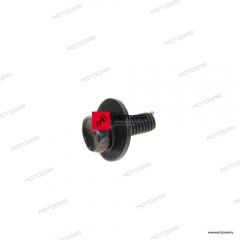 Śruba z podkładką 6X16 Honda CBX600, CB650 [OEM: 934050601607]