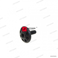 Śruba owiewki Ducati Multistrada [OEM: 7791C311AB]
