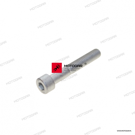 Śruba M8x50 Aprilia RS, Tuareg 660, Tuono, Pegaso, Mojito, Derbi Senda, GPR, Moto Guzzi Stelvio, V100 Mandello [OEM: AP8150277]