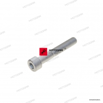 Śruba M8x50 Aprilia RS, Tuareg 660, Tuono, Pegaso, Mojito, Derbi Senda, GPR, Moto Guzzi Stelvio, V100 Mandello [OEM: AP8150277]