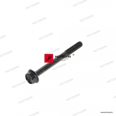 Śruba karteru M6 Yamaha YZ80,FZR400, FZS600 Fazer, FZ750 Genesis, XJ900 Diversion, GTS1000, YZF1000 Thunderace [OEM: 9581706060]