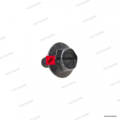 Śruba chłodnicy Honda CB600F Hornet, XRV750 Africa Twin, VT1100 Shadow, ST1100 Pan European, GL1800 Gold Wing [OEM: 90116ME9000]