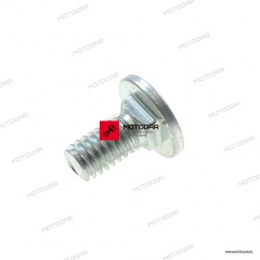 Śruba emblematu, loga baku Harley-Davidson Blackline, Softail [OEM: 5471]