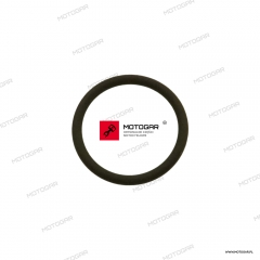 Oring popychacza zaworowego Harley-Davidson Road King, Electra Glide, Softail, Heritage, Rocker, Freewheeler [OEM: 11145A]