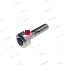 Śruba podnóżka 8X32 Honda NT650V Deauville, CRF1000 Africa Twin, GL1800 Gold Wing [OEM: 90155MBL610]