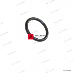 Oring węża, przewodu wody Triumph Rocket (3/III) [OEM: T3600910]