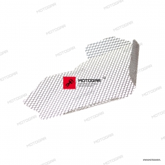 Siatka, wlot powietrza lewy Ducati Superbike / Panigale [OEM: 46011031C]