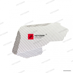 Siatka, wlot powietrza prawy Ducati Superbike / Panigale [OEM: 46011021C]
