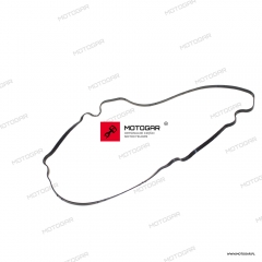 Uszczelka pokrywy rozrządu Harley-Davidson Pan American, Sportster, Nightster [OEM: 25700931]