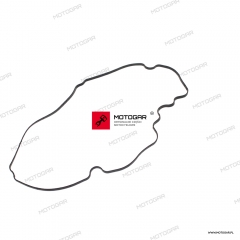 Uszczelka pokrywy zaworów Harley-Davidson Pan American, Sportster, Nightster [OEM: 25700929]