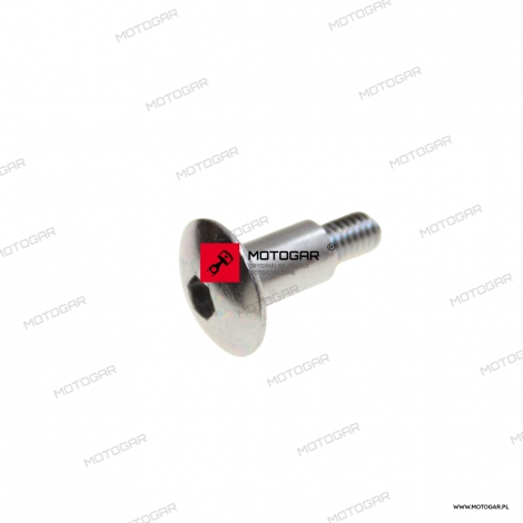 Śruba 6x22 Suzuki GSX-R600, GSR750, GSX-S950, GSF1200 Bandit, GSX1300R Hayabusa, VZ1500, VZR1800 [OEM: 0913906191]